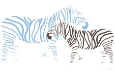 Blue Zebra-Avalisa-Poster