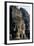 Avalokiteshvara Carving at Angkor Wat-null-Framed Photographic Print