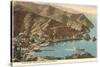 Avalon Bay, Catalina, California-null-Stretched Canvas