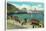 Avalon, California - Portion View of the Bay Front-Lantern Press-Stretched Canvas