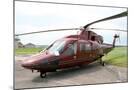 Wood Mount