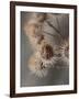 Avantgarde-Design Fabrikken-Framed Photographic Print