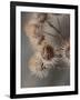 Avantgarde-Design Fabrikken-Framed Photographic Print