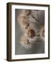 Avantgarde-Design Fabrikken-Framed Photographic Print