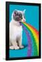 Avanti - Cat Pukes Rainbow-Trends International-Framed Poster