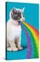 Avanti - Cat Pukes Rainbow-Trends International-Stretched Canvas