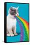 Avanti - Cat Pukes Rainbow-Trends International-Framed Stretched Canvas