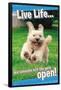 Avanti - Dog Joy-Trends International-Framed Poster