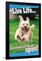 Avanti - Dog Joy-Trends International-Framed Poster