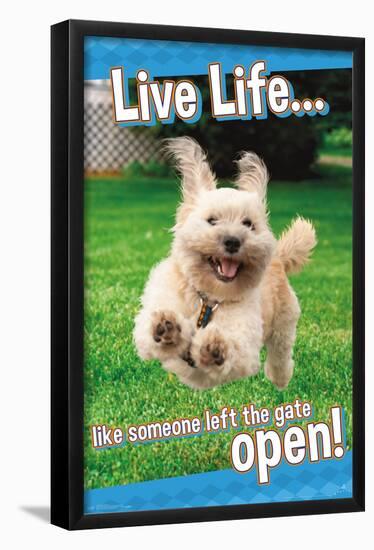 Avanti - Dog Joy-Trends International-Framed Poster