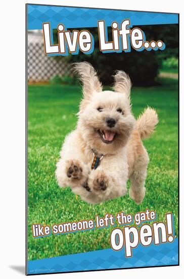 Avanti - Dog Joy-Trends International-Mounted Poster
