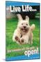 Avanti - Dog Joy-Trends International-Mounted Poster