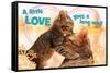 Avanti - Kitten Kisses-Trends International-Framed Stretched Canvas