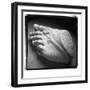 Avayo-Craig Satterlee-Framed Photographic Print