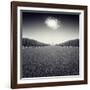 Avazio-Luis Beltran-Framed Photographic Print