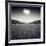 Avazio-Luis Beltran-Framed Photographic Print