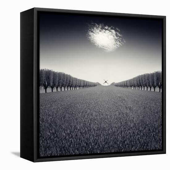 Avazio-Luis Beltran-Framed Stretched Canvas