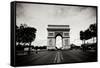 Ave Champs Elysees III-Erin Berzel-Framed Stretched Canvas