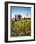 Avebury, 1983-Frances Broomfield-Framed Giclee Print