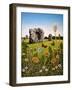 Avebury, 1983-Frances Broomfield-Framed Giclee Print