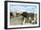 Avenida Saenz Pena and Plaza Casanave, Callao, Peru, C1900s-null-Framed Giclee Print