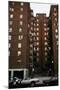 Avenue D Housing Project in Manhattan's Lower East Side, Ca. 1973-75-null-Mounted Photo