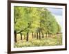 Avenue De L'Arbre-Tania Bello-Framed Giclee Print