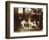 Avenue De L'Observatoire, 1926-Eugene Atget-Framed Giclee Print