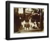 Avenue De L'Observatoire, 1926-Eugene Atget-Framed Giclee Print