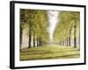 Avenue Des Arbres-Tania Bello-Framed Giclee Print