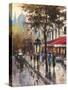 Avenue Des Champs-Elysees 1-Brent Heighton-Stretched Canvas