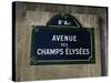 Avenue Des Champs Elysees Street Sign, Paris, France, Europe-Nigel Francis-Stretched Canvas