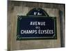 Avenue Des Champs Elysees Street Sign, Paris, France, Europe-Nigel Francis-Mounted Photographic Print