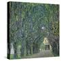 Avenue in the Park of Kammer Castle, 1912-Gustav Klimt-Stretched Canvas