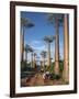 Avenue of Baobabs with Ox-Drawn Carts-Nigel Pavitt-Framed Photographic Print