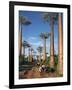 Avenue of Baobabs with Ox-Drawn Carts-Nigel Pavitt-Framed Photographic Print