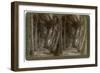 Avenue of Coconut Palms, Florida, USA, 1891-George Barker-Framed Giclee Print