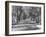 Avenue of Cypress in Central Park-Dmitri Kessel-Framed Photographic Print
