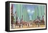 Avenue of Flags, Chicago World's Fair-null-Framed Stretched Canvas