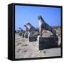 Avenue of Lions, Delos, c600BC-Unknown-Framed Stretched Canvas