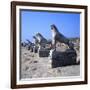 Avenue of Lions, Delos, c600BC-Unknown-Framed Giclee Print