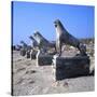 Avenue of Lions, Delos, c600BC-Unknown-Stretched Canvas