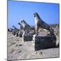 Avenue of Lions, Delos, c600BC-Unknown-Mounted Giclee Print