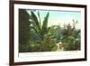 Avenue of Palms, Como Park, St. Paul, Minnesota-null-Framed Premium Giclee Print