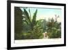 Avenue of Palms, Como Park, St. Paul, Minnesota-null-Framed Premium Giclee Print