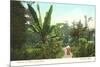 Avenue of Palms, Como Park, St. Paul, Minnesota-null-Mounted Premium Giclee Print