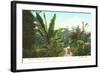 Avenue of Palms, Como Park, St. Paul, Minnesota-null-Framed Art Print