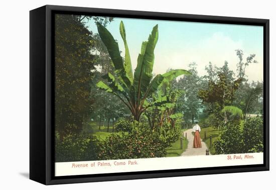 Avenue of Palms, Como Park, St. Paul, Minnesota-null-Framed Stretched Canvas