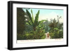 Avenue of Palms, Como Park, St. Paul, Minnesota-null-Framed Art Print