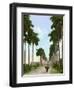 Avenue of Palms, Havana, 1903-null-Framed Premium Giclee Print